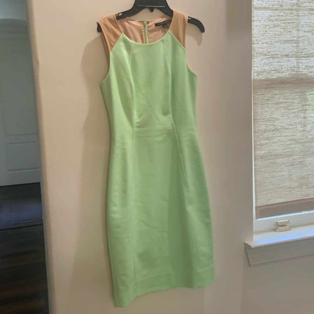 antonio melani green and tan dress
